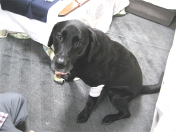 43momoude.jpg(63321 byte)