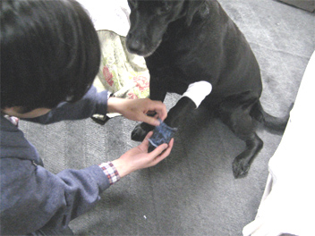 44momokutusita.jpg(62369 byte)