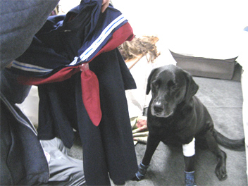 47momose-ra-.jpg(62278 byte)