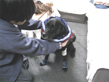 48momose-ra-.jpg(61710 byte)