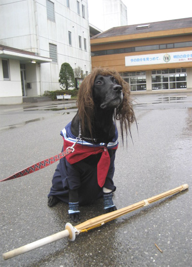 52kansei.jpg(91362 byte)