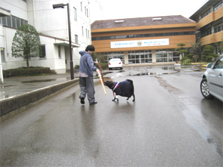 56gakkou.jpg(53789 byte)