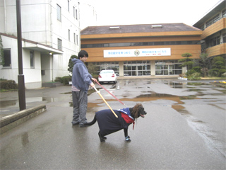 58gakkoukaeru.jpg(52553 byte)