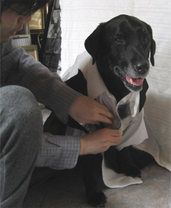 F08.JPG - 29,751BYTES