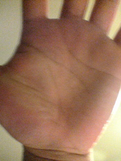 �h��������̎�