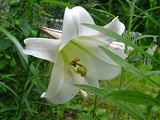 �yDJ.2�z�������D�_