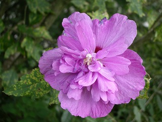 �yDJ.5�z�S�Ă��������������