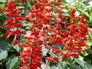 �yDJ.6�z�߂��Ⴢ�e�I�����ꂾ�����