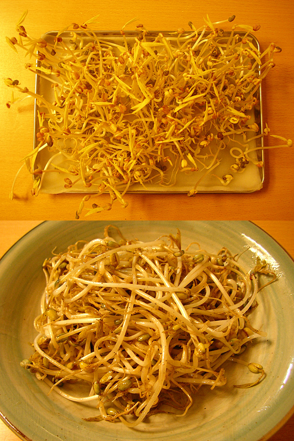 �}�b�y9����