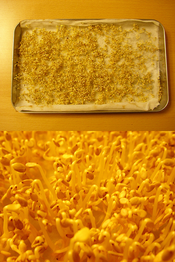 ����9����