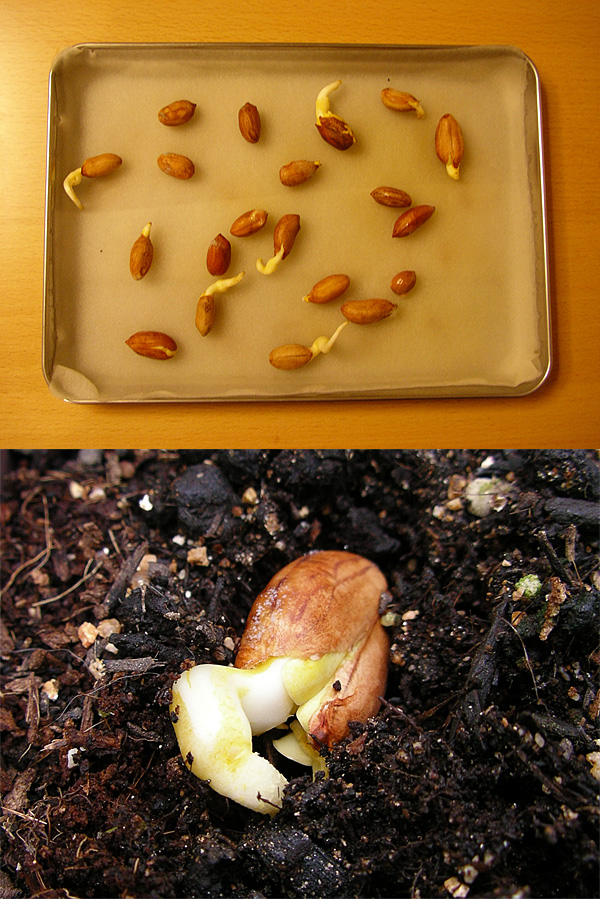 ���Ԑ�10����