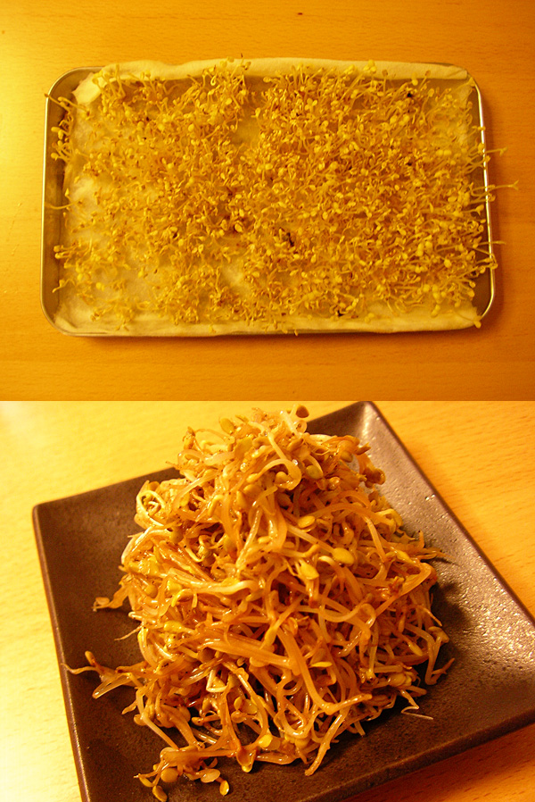 ����10����