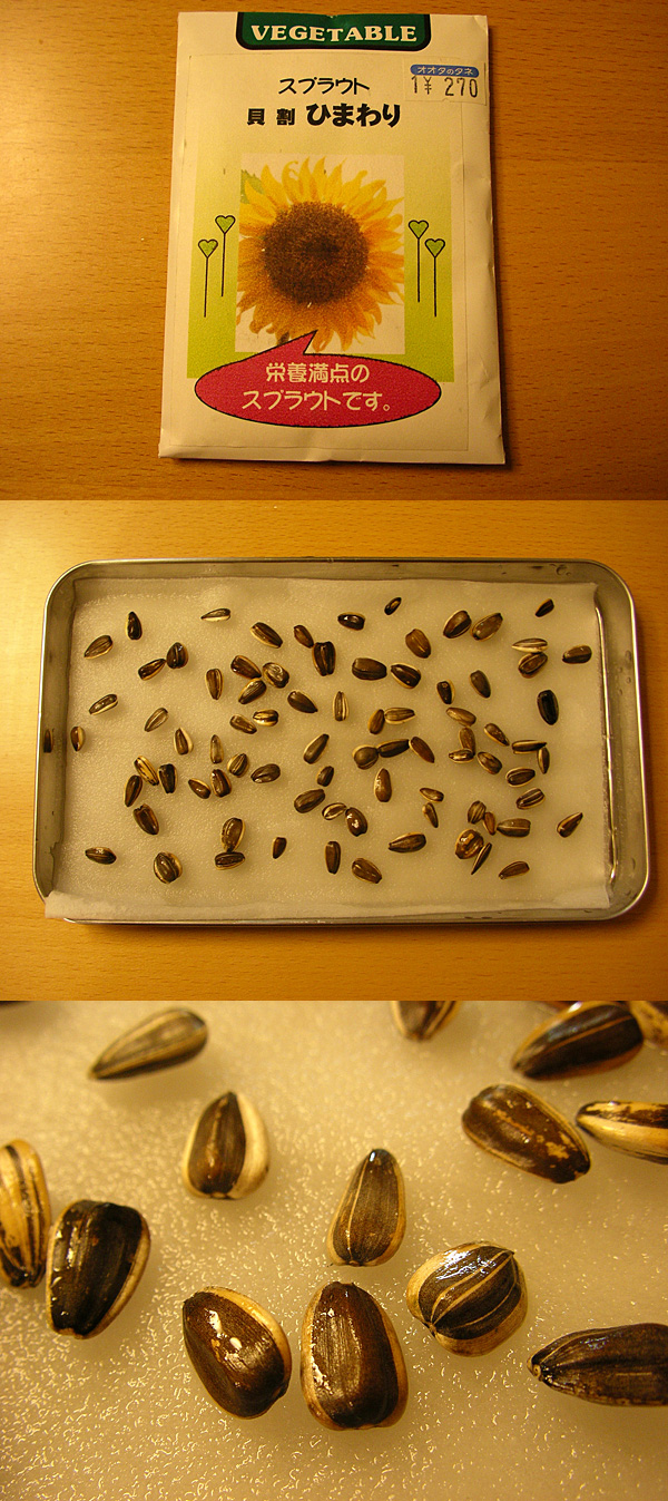 �Ђ܂��1����