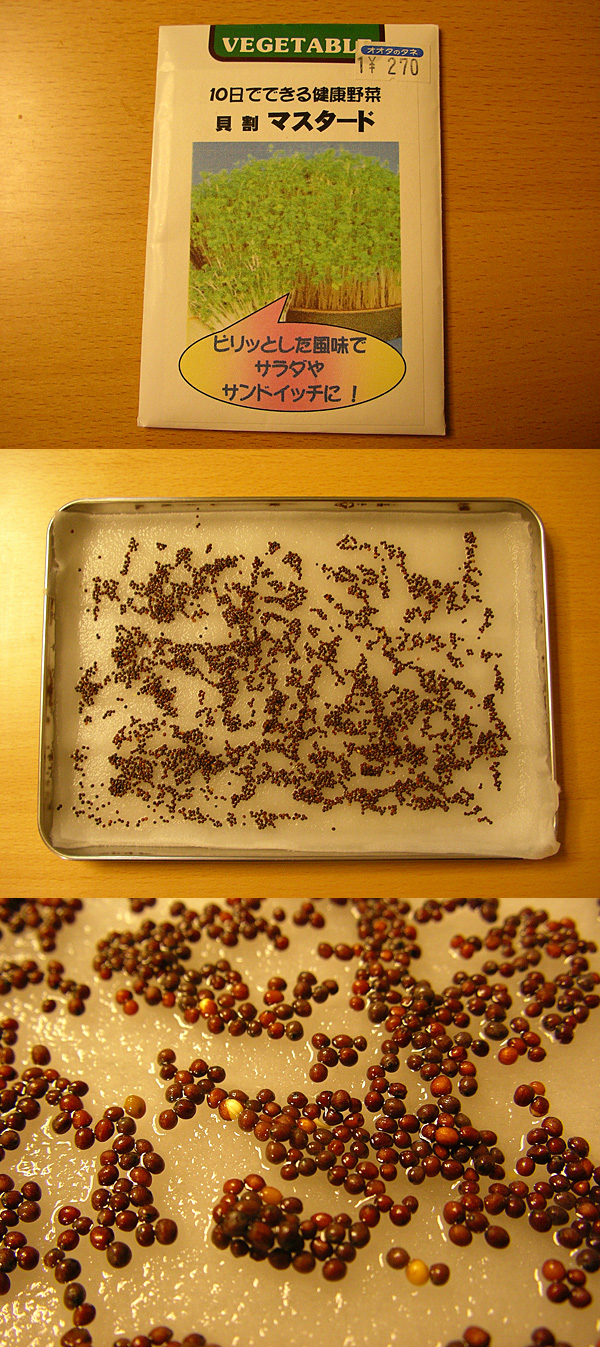 �}�X�^�[�h1����