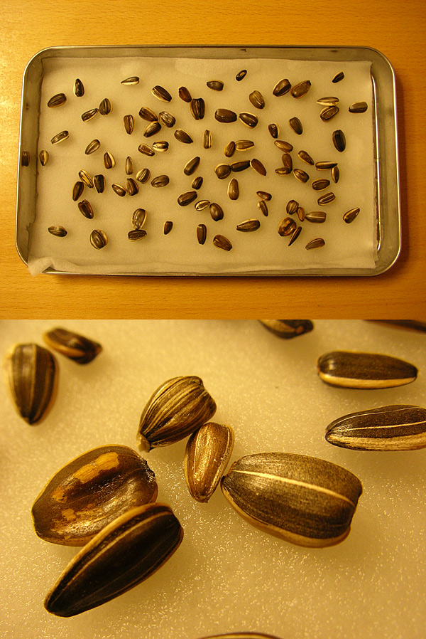 �Ђ܂��2����