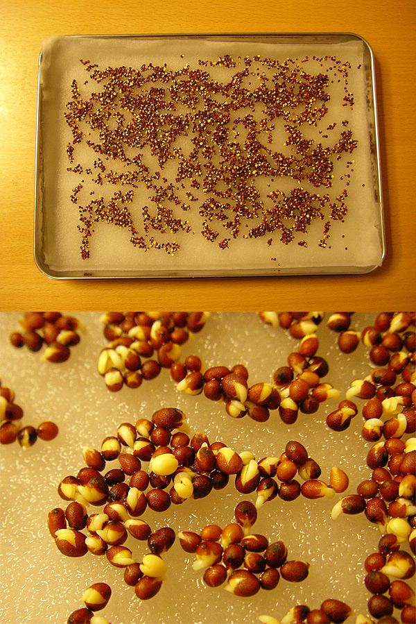 �}�X�^�[�h2����