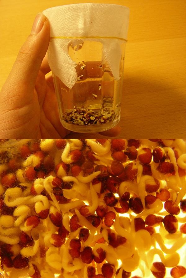 �}�X�^�[�h3����