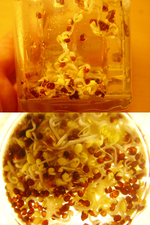 �}�X�^�[�h4����