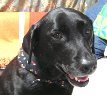 �����������B