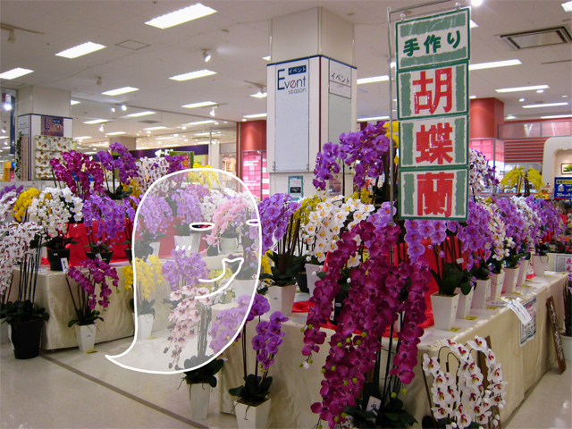 �Ӓ�������