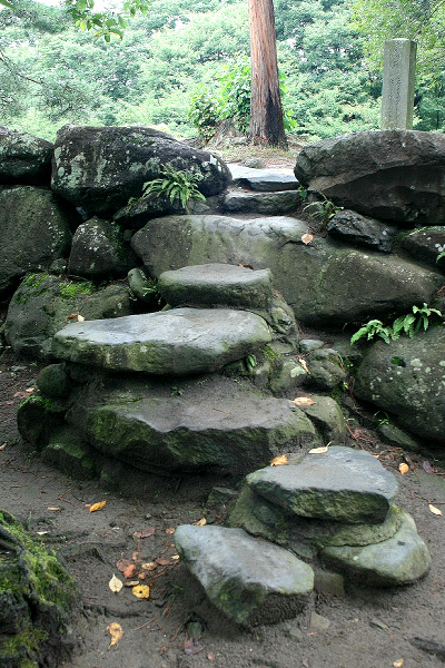 ������Ղ̌��n�K�i