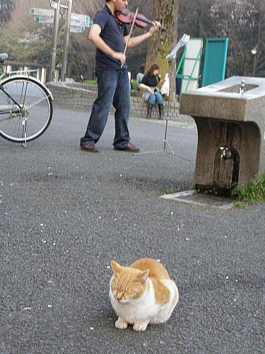 ���@�C�I�����ɂ�