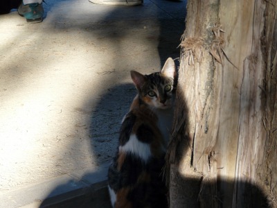 �E�ъ��������e