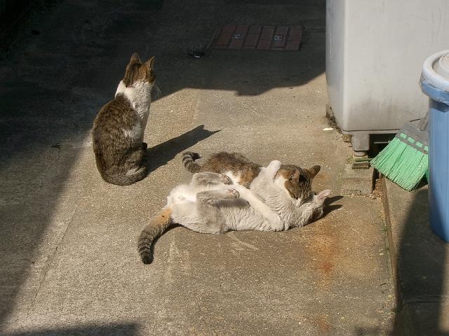 ���Ԃ���������B