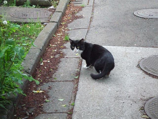 �����ڂ����Ă���