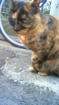 ��Ђ̋߂��ɂ�������L