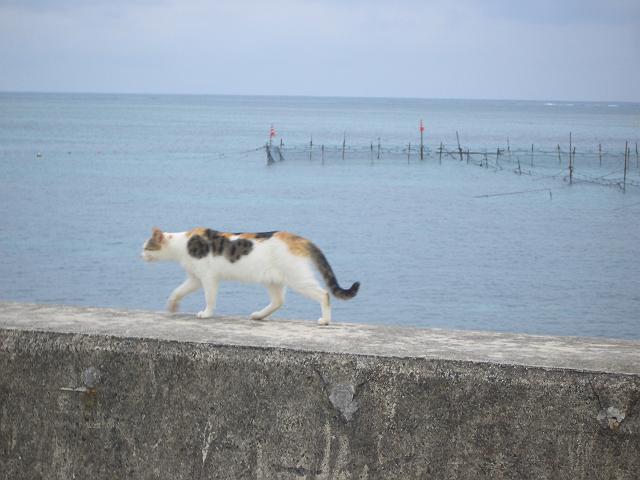 �Ί_���O��