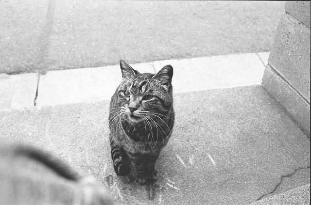 �ߏ��̎����L�ł��B