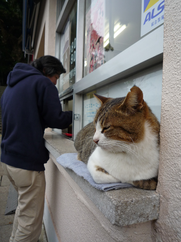 �]�m���G�X�J�[�̊ŔL