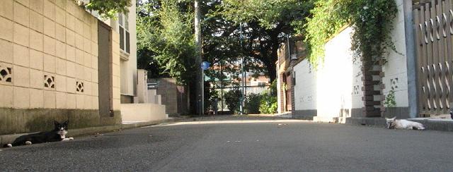 �������Ƃ�������