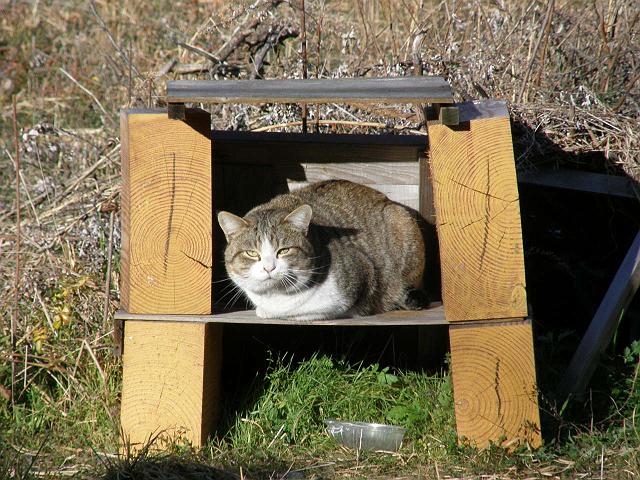 �ז�����Ȃ�I