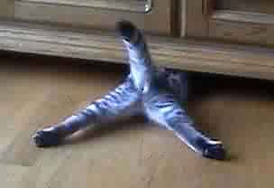 ���B����