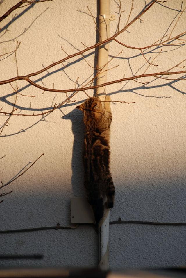 �悢����A�悢����