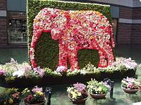 �L���i���V�e�B�����ɂ�