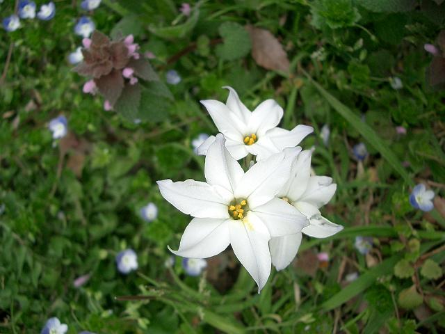 �������Ƃ��̉�