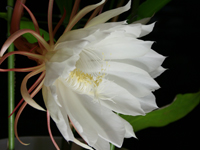 �������l