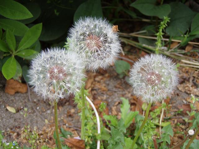 �ۂۂ�3�Z��