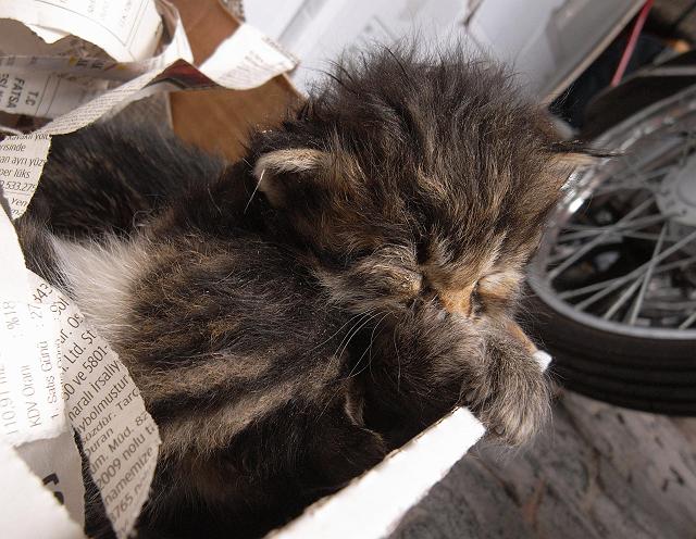 �������Ⴂ���Ă�