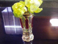 10�Z���`��