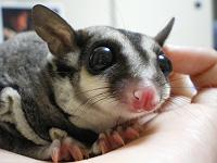 �t�N���������K�B