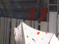 �~�J�̐����