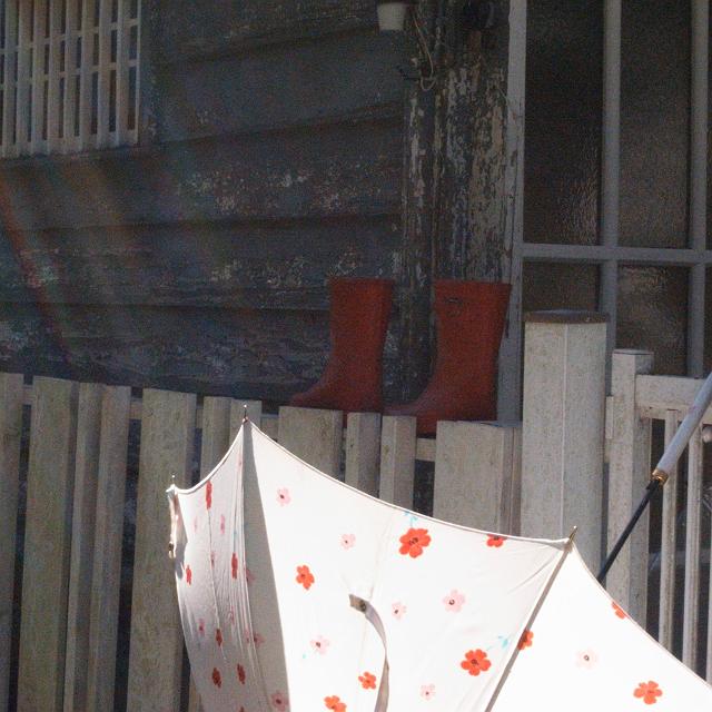 �~�J�̐����