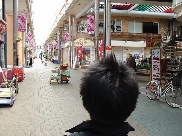 �F�l�̌㓪���c