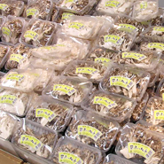 �H�c�̃L�m�R�����͕������炯