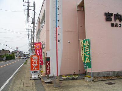 ��ǂ̊Ŕ�����ȑ̉��v