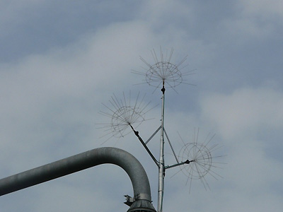 ���̊�n�ɂ��肻���ȃA���e�i